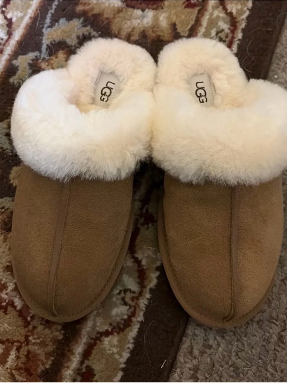 UGG Women's Chestnut Suede Shearling Clog Slippers with Cream Fur Cuff